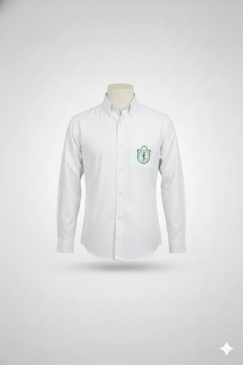 Image_7lisoj7lisoj7lis